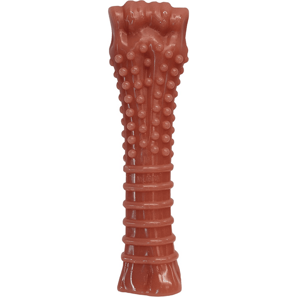 Nylabone Power Chew Textured Bone Toy for Dogs (Brown)