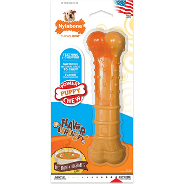 Nylabone Puppy Power Chew Toy for Dogs (Orange)