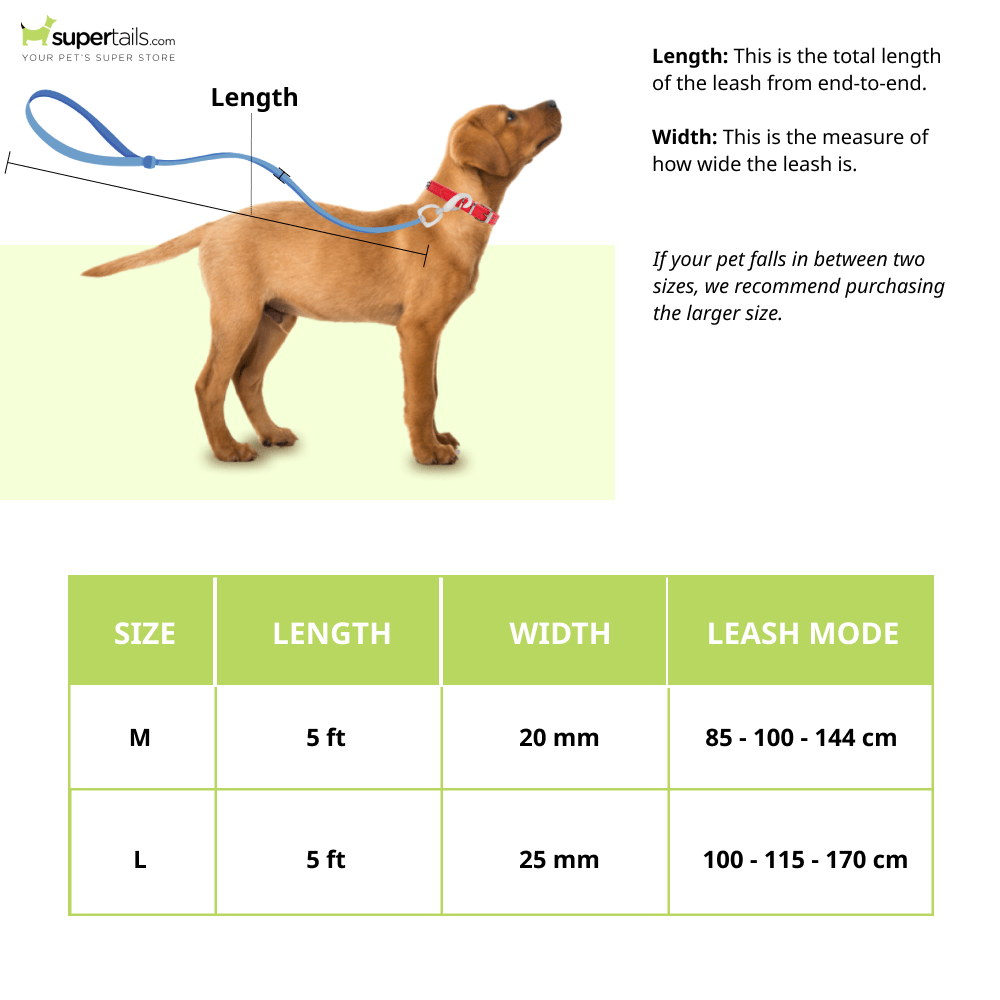 Furry & Co Weatherproof Leash for Dogs (Mango) Dogs-Collar, Leashes, harnesses Furry & Co