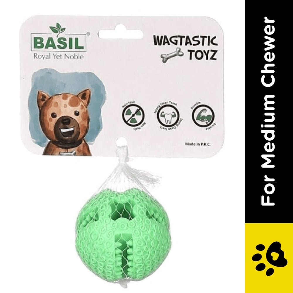 Basil Treat Dispensing Solid Chew Ball Toy for Dogs (Green)