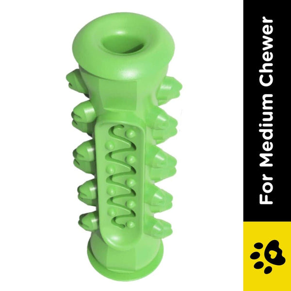 Emily Pets Toothbrush Stick Dental Care Toy for Dogs (Green)