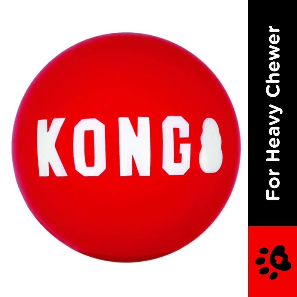 Kong Signature Ball Toy for Dogs