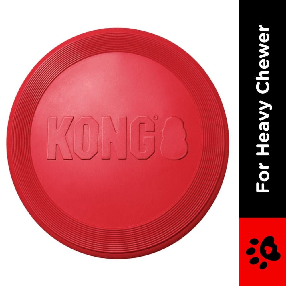 Kong Flyer Toy for Dogs