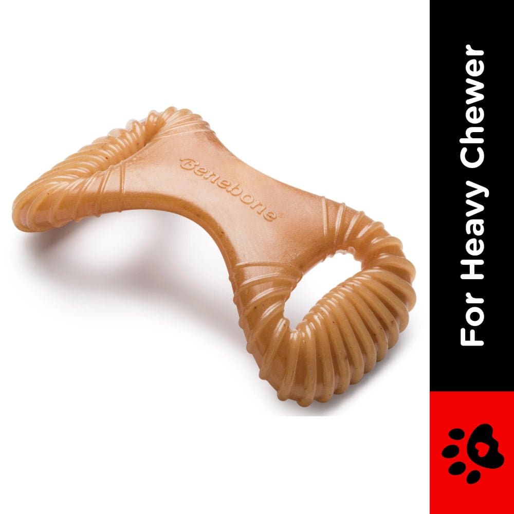 Benebone Chicken Flavored Dental Chew Toy for Dogs Dogs-Toys Benebone