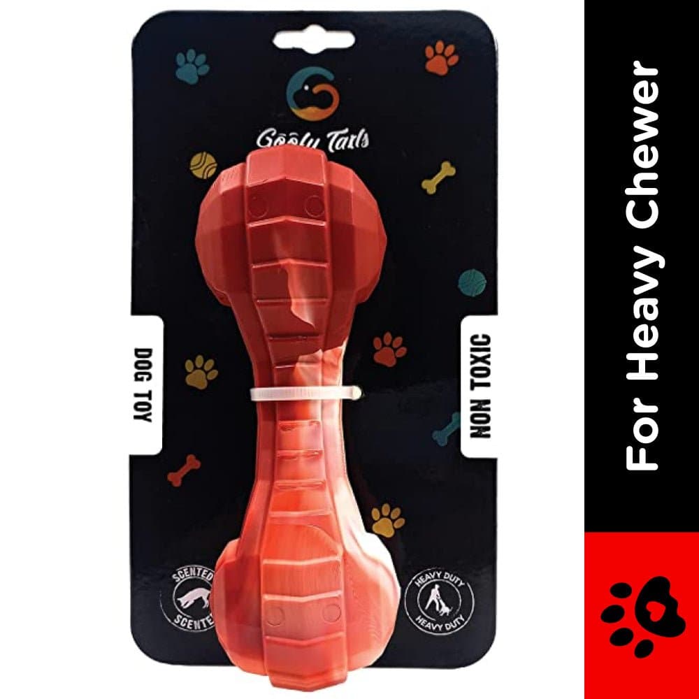 Goofy Tails Extreme Chew Bone Toy for Dogs