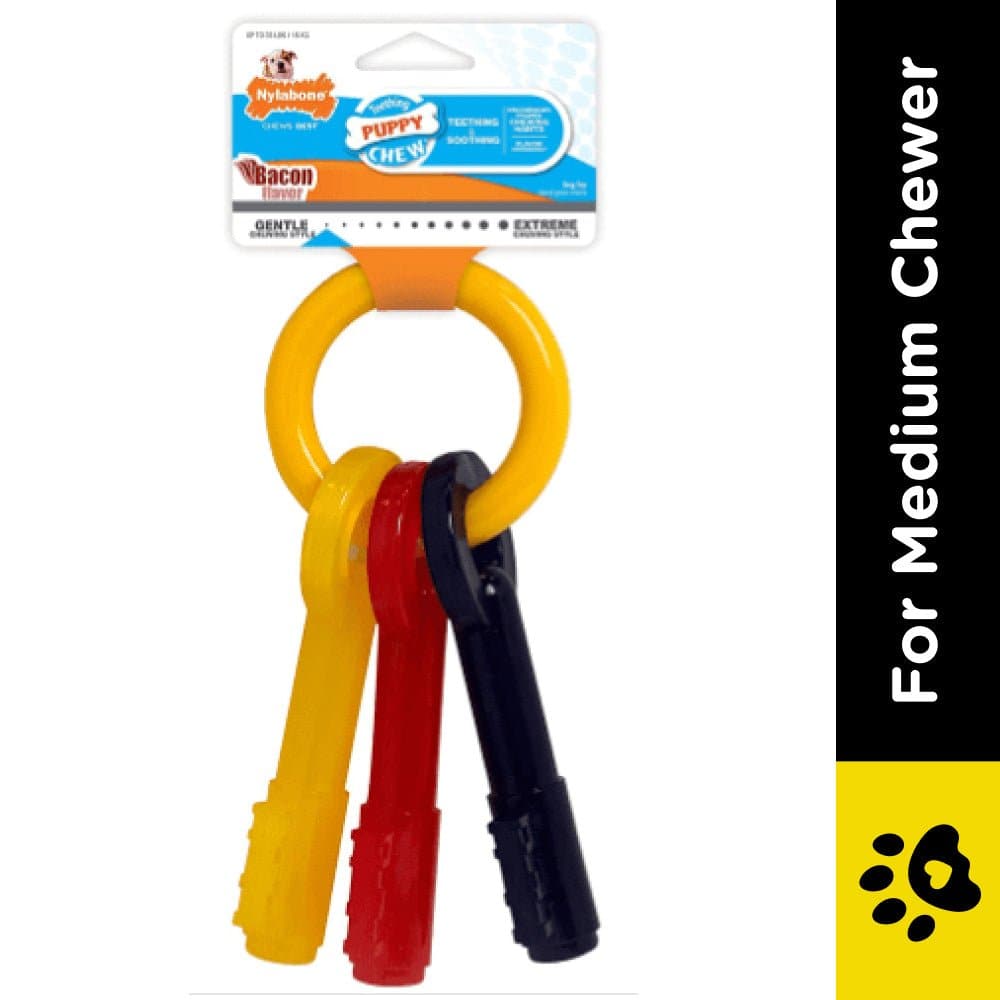Nylabone Bacon Flavor Puppy Teething Keys Chew Toy for Dogs