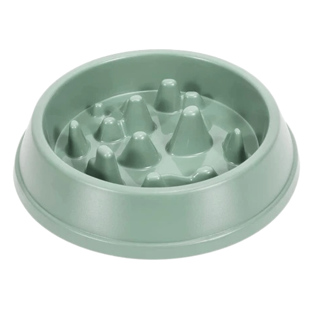 Emily Pets Slow Feeder Bowl for Dogs and Cats (Green)