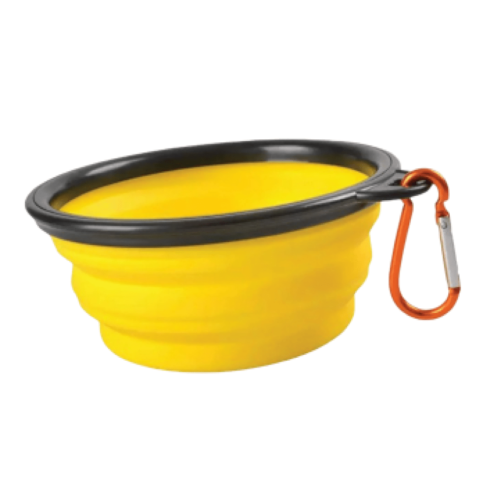 Emily Pets Bowl for Dogs and Cats (Yellow)