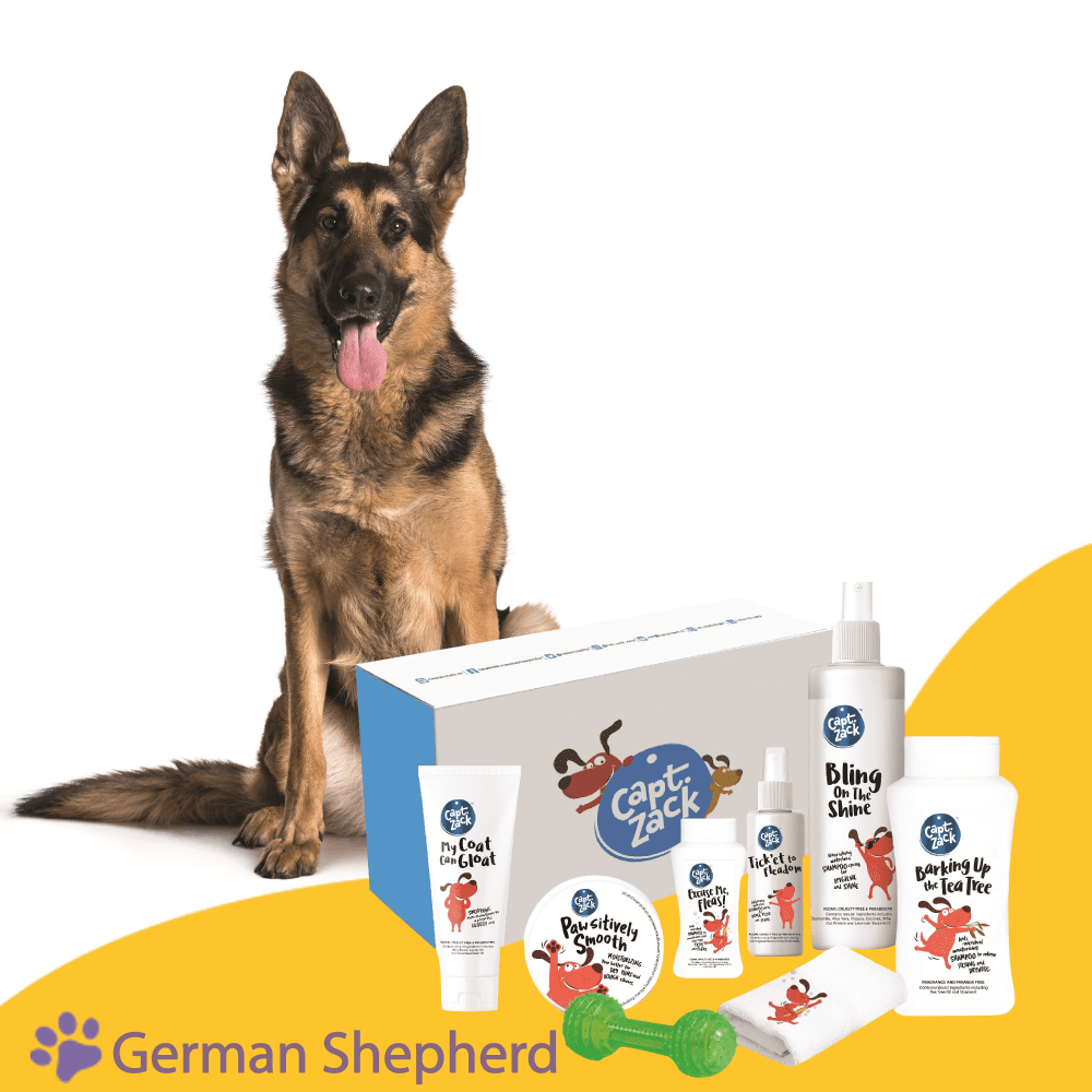 Captain Zack The German Shepherd Groom Box for Dogs