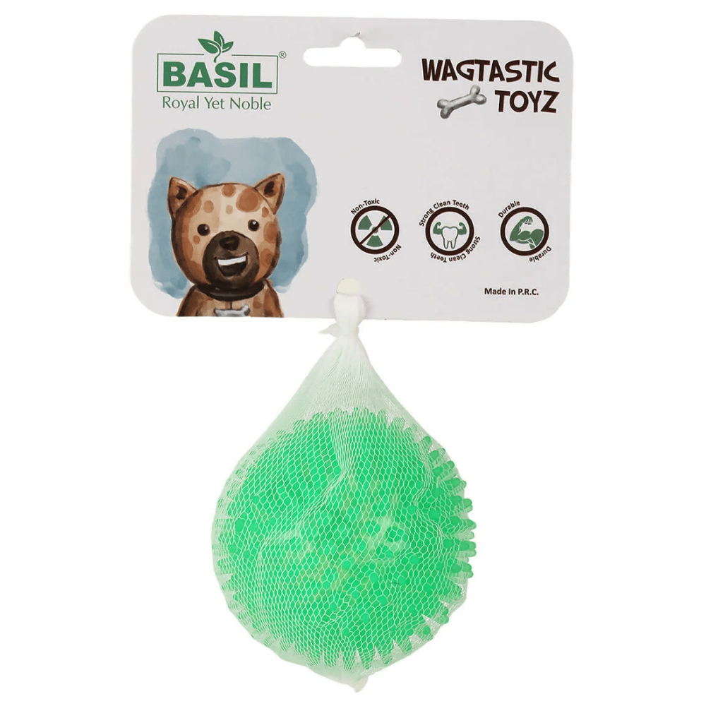 Basil Squeaky Rubber Ball Toy for Dogs