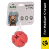Basil Treat Dispensing Solid Chew Ball Toy for Dogs (Orange) Dogs-Toys Basil