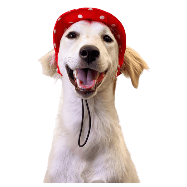 Pawgypets Polka Cap for Dogs and Cats (Red)
