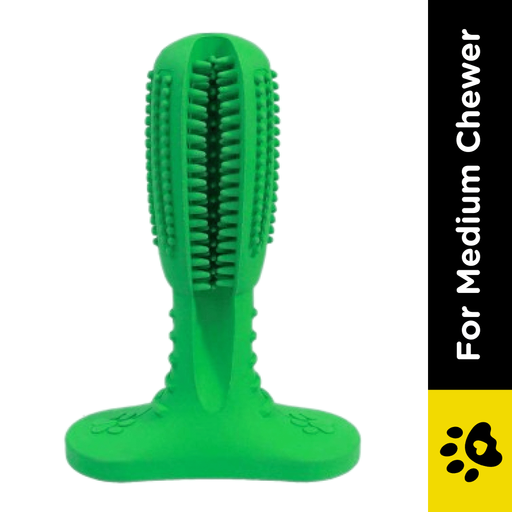 Pawsindia Dental Toy for Dogs (Green)