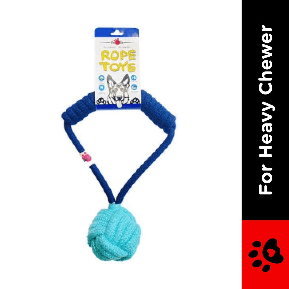 Pawsindia Tug of War Rope Toy for Dogs (Blue)