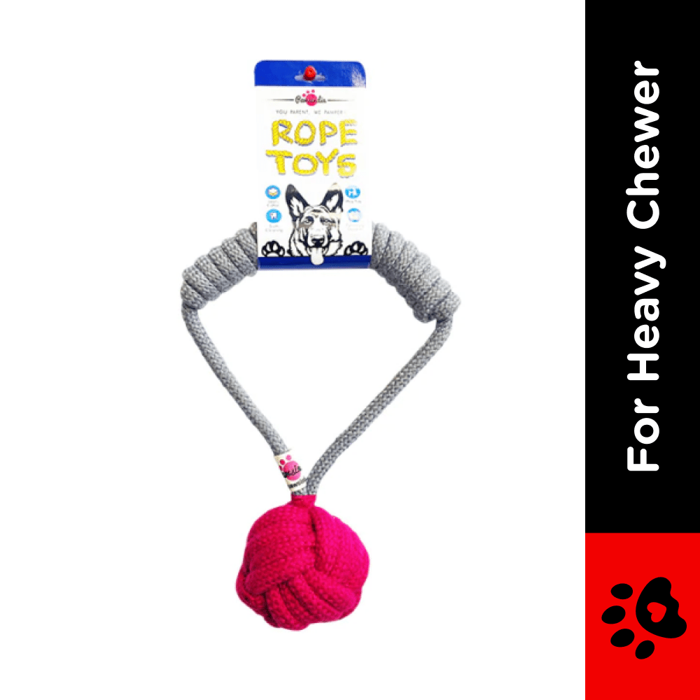 Pawsindia Tug of War Rope Toy for Dogs (Grey)