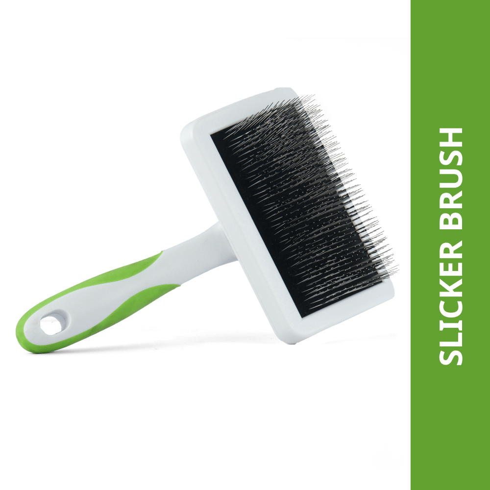 Andis Firm Slicker Brush Grooming Tool for Dogs (White/Green)