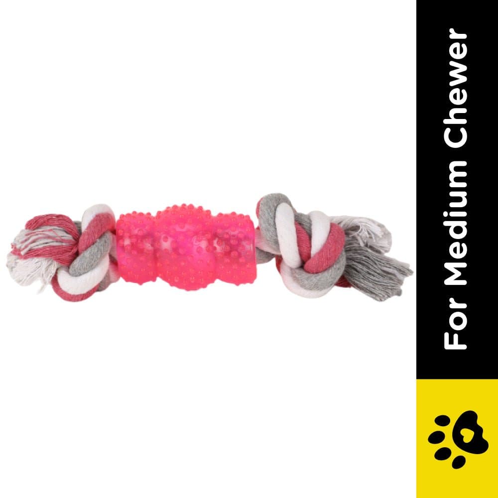 Buy Basil Rope Rubber Chew Toy for Dogs Online in India Supertails