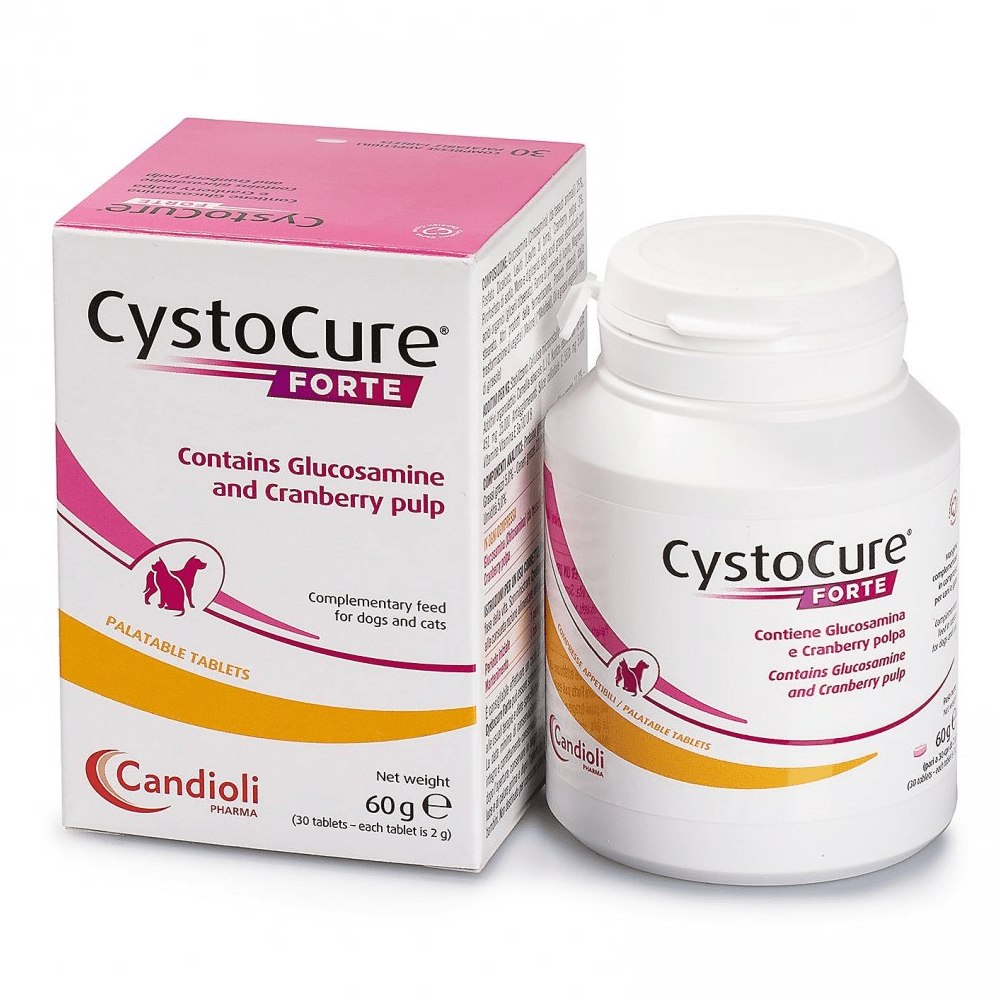 Dyntec Cystocure Forte Tablet