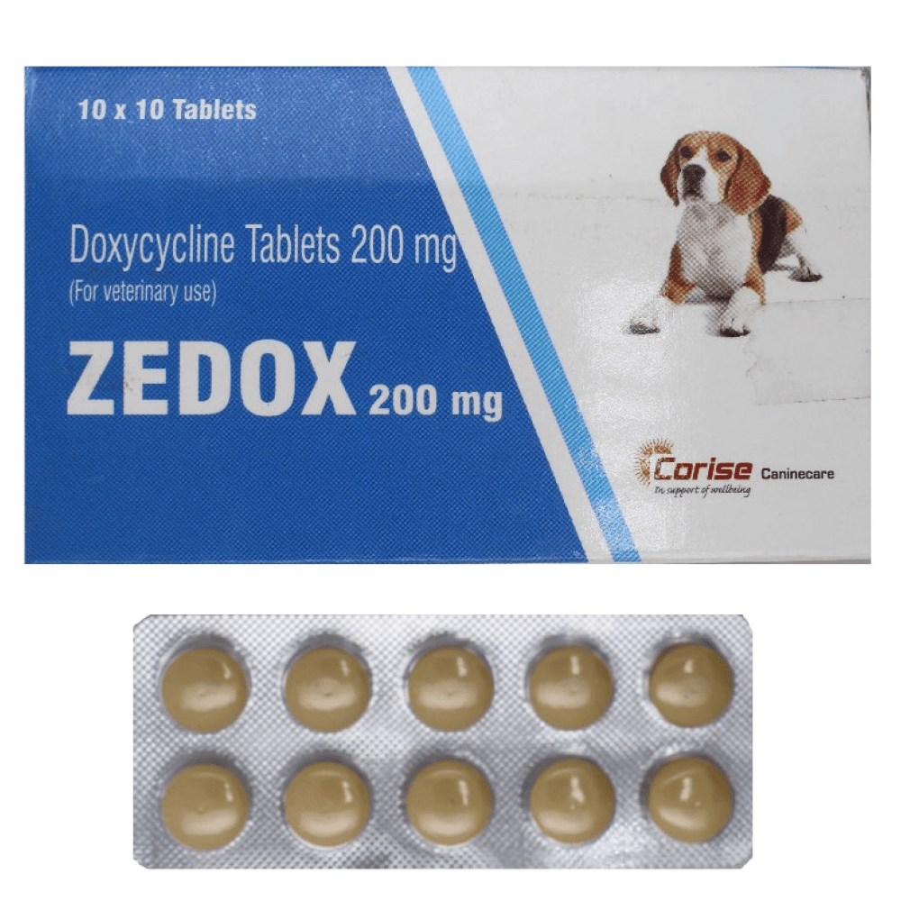Corise Zedox (Doxycycline) 200mg Tablets for Dogs and Cats (10 tablets) Both-Pharmacy Corise Pharmacy 200mg - 1strip (10 tablets)