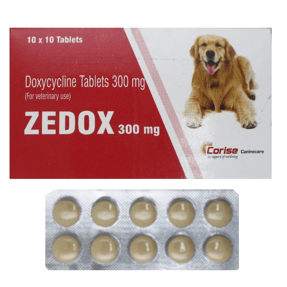 Corise Zedox (Doxycycline) 300mg Tablets for Dogs and Cats (10 tablets) Both-Pharmacy Corise Pharmacy 300mg - 1strip (10 tablets)