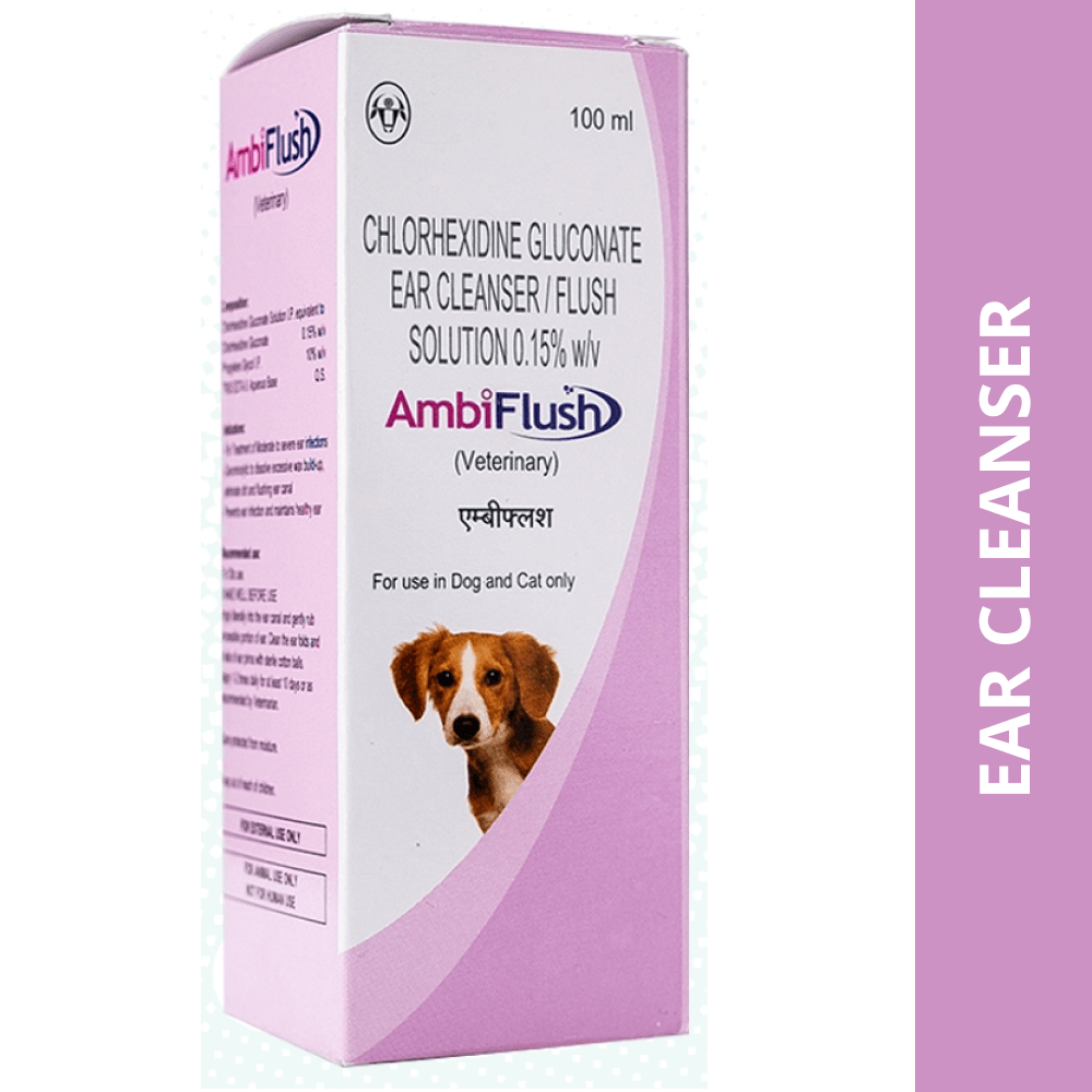 Intas Ambiflush Ear Cleanser for Dogs and Cats (100ml) Both-Pharmacy Intas Pharmacy 100mL