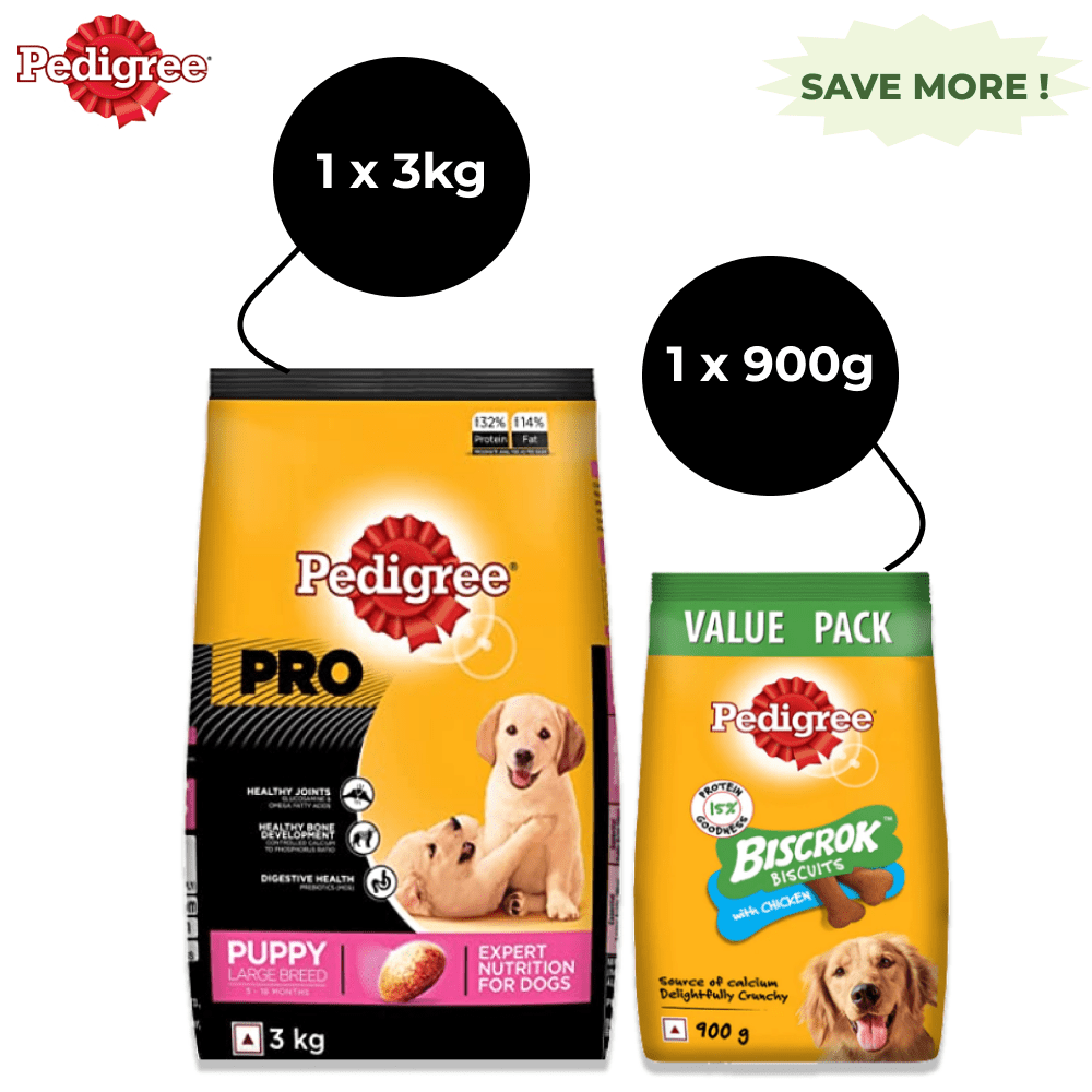 Pedigree PRO Large Breed Puppy Dry Food and Chicken Flavour Biscrok Treat Combo (3kg +900g) Exclusive Combo Pedigree 3kg+900g