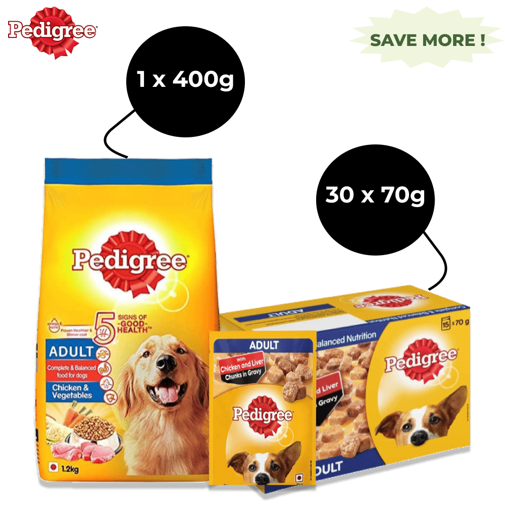 Pedigree Chicken & Liver Chunks in Gravy Pouch Adult Wet Food and Chicken & Vegetables Adult Dog Dry Food Combo