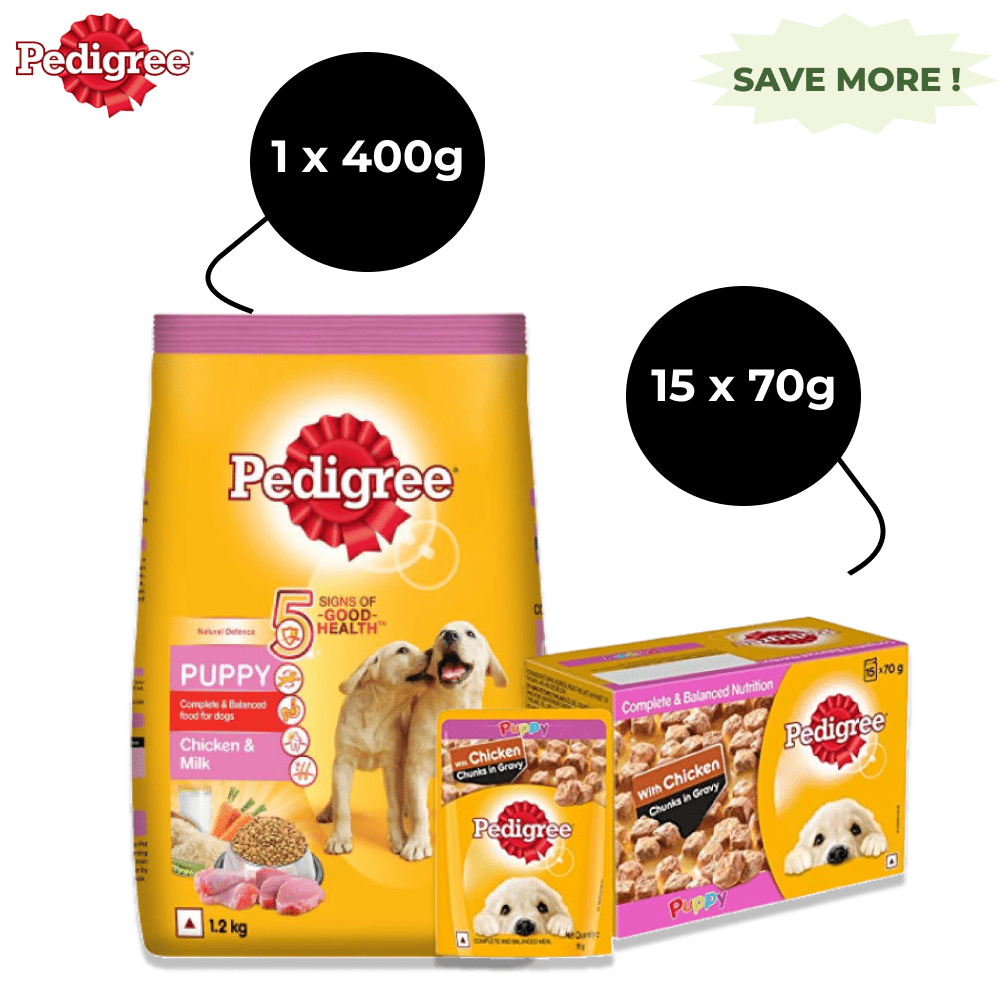 Pedigree Chicken Chunks in Gravy Pouch Puppy Wet Food and Chicken & Milk Puppy Dry Food Combo