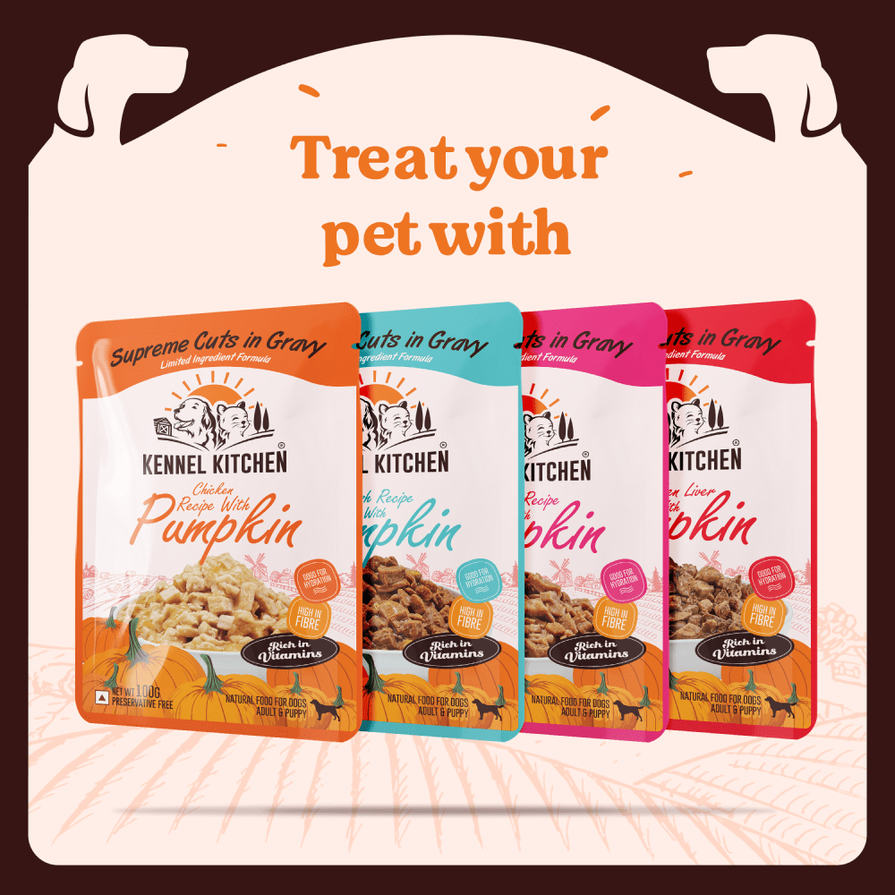 Frame17-450024.png?v=1696545986