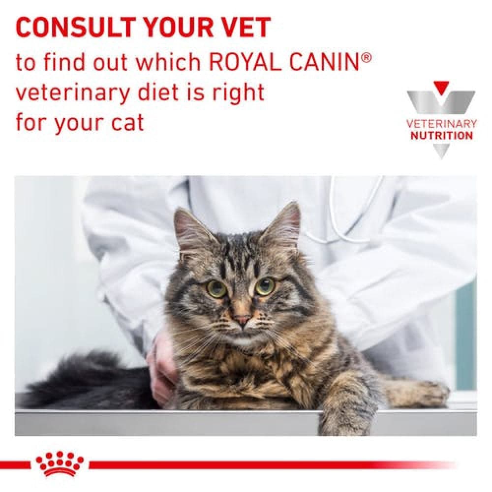 Royal Canin Veterinary Diet Renal Fish Adult Cat Wet Food