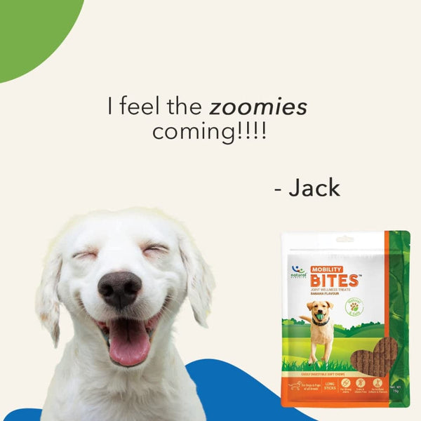 Natural Remedies Mobility Bites Chew Treats for Dogs