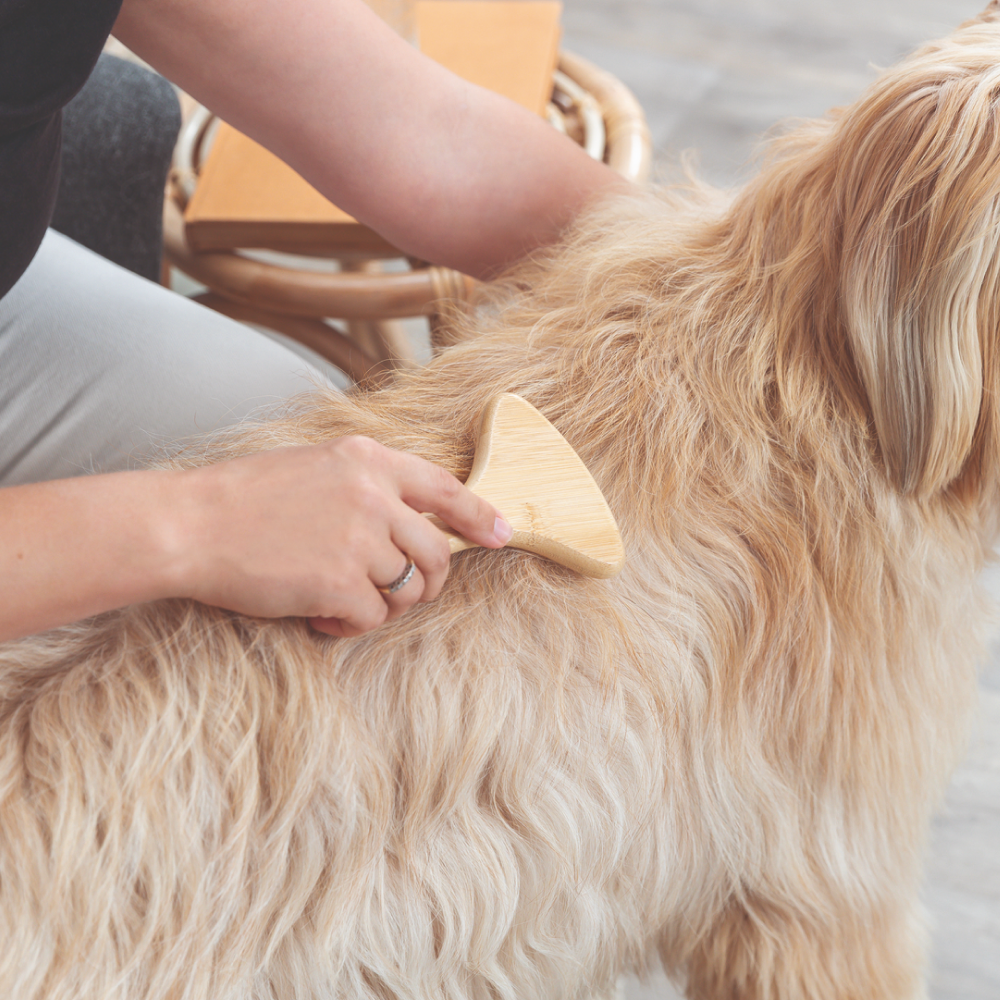 Trixie Detangler for Long Hair for Dogs
