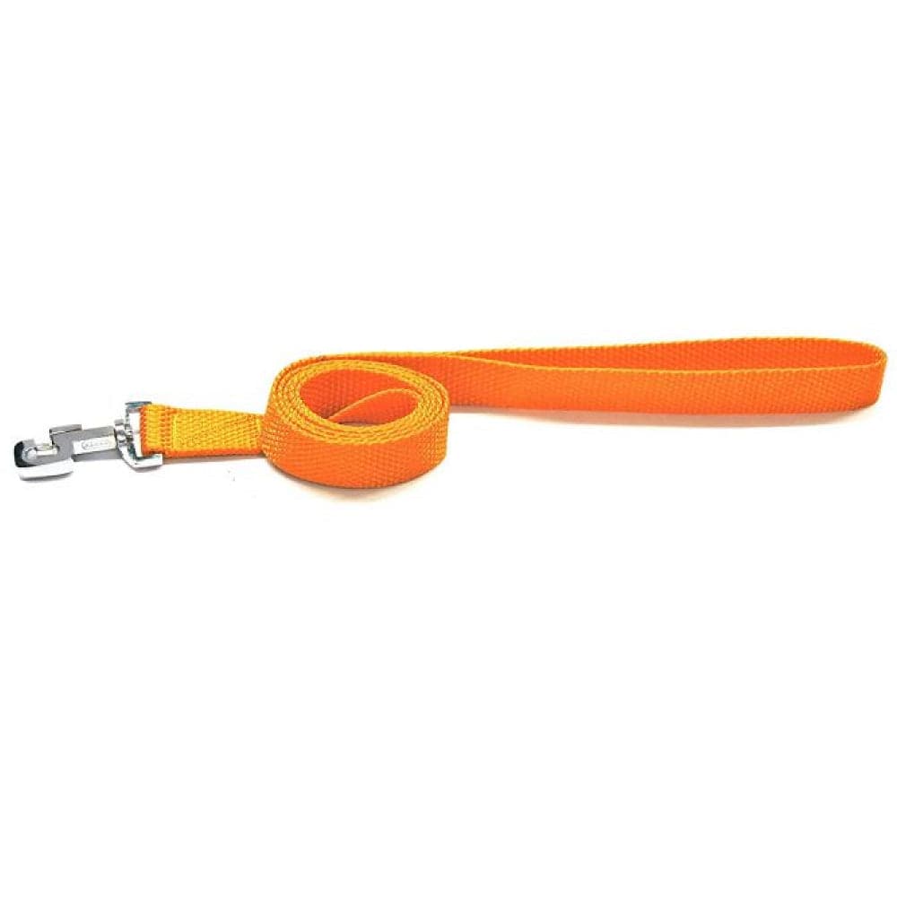 Glenand Petz Pure Nylon Padded Leash for Dogs (Orange)