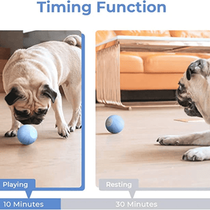 Cheerble Wicked SE Ball Toy for Dogs | For Medium Chewers (Blue)