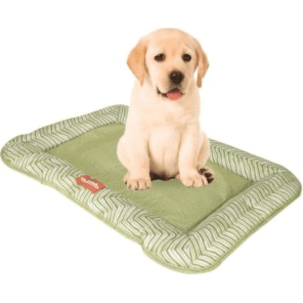 Emily Pets Rectangle Shape Bed for Dogs and Cats (Green)