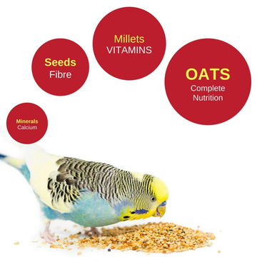 Vitapol Economic Food for Budgies