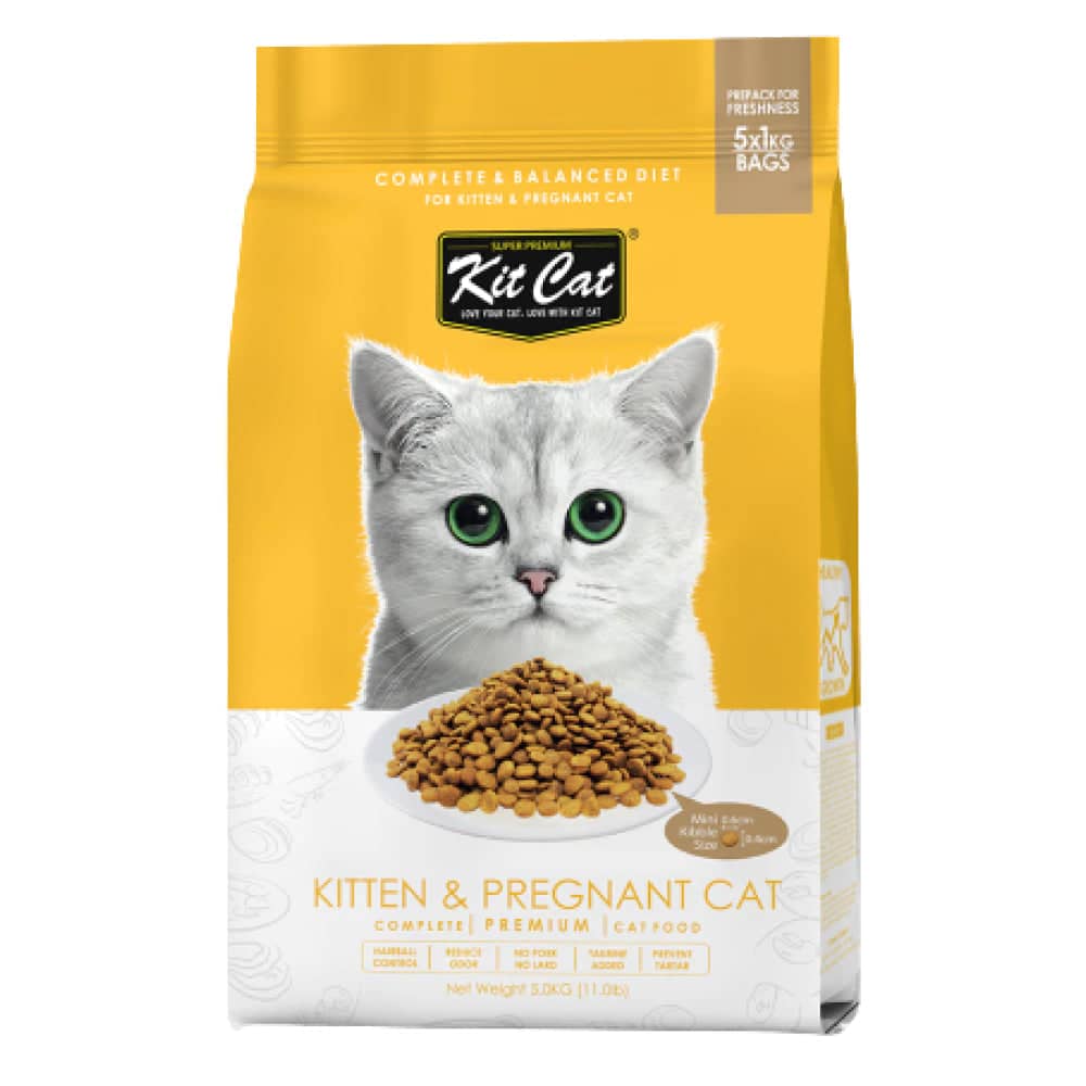 Kit Cat Premium Kitten & Pregnant Cat Dry Food