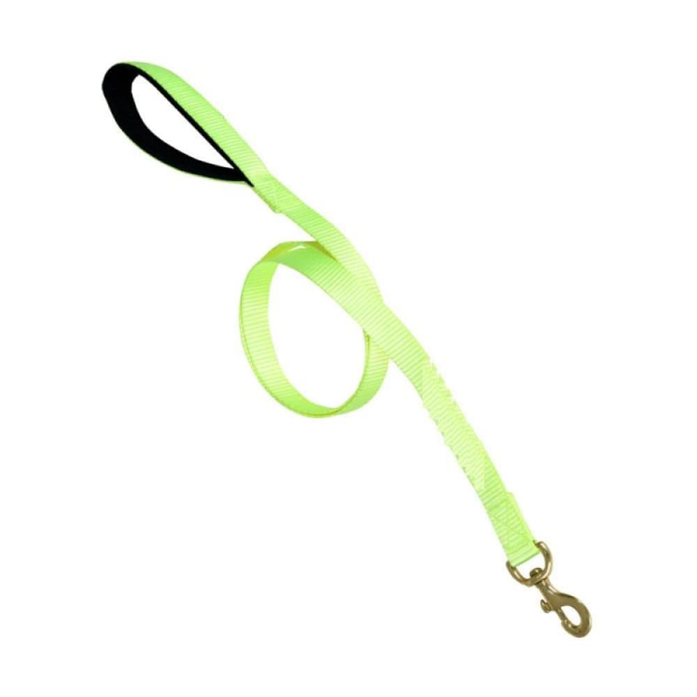 Glenand Petz Pure Nylon Padded Leash for Dogs (Green)