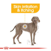 Royal Canin Maxi Dermacomfort Dog Dry Food