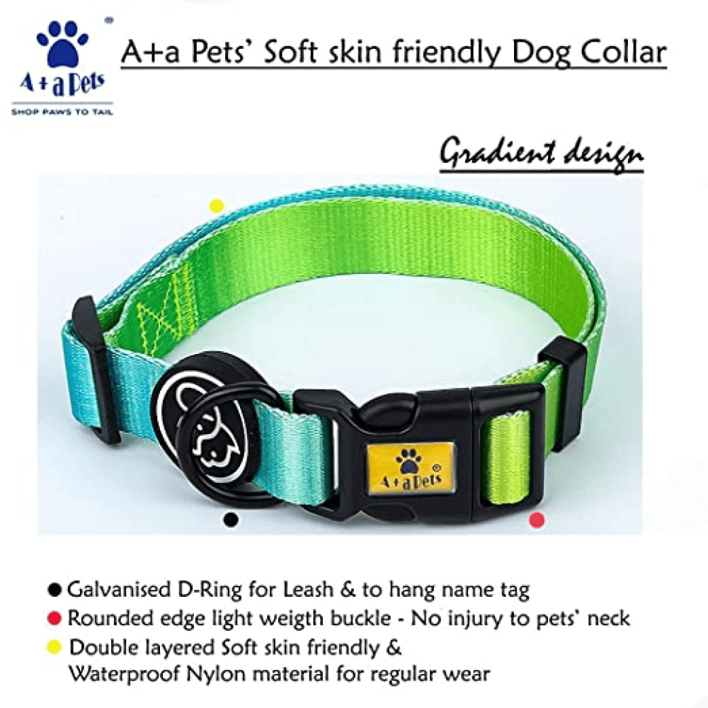 A Plus A Pets Skin Friendly Gradient Design Collar for Dogs (Green)