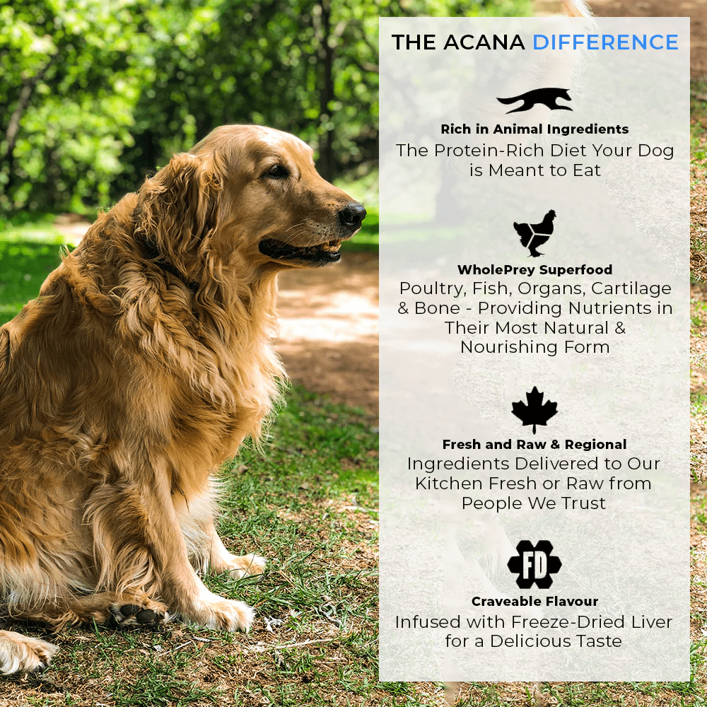 Acana golden retriever best sale