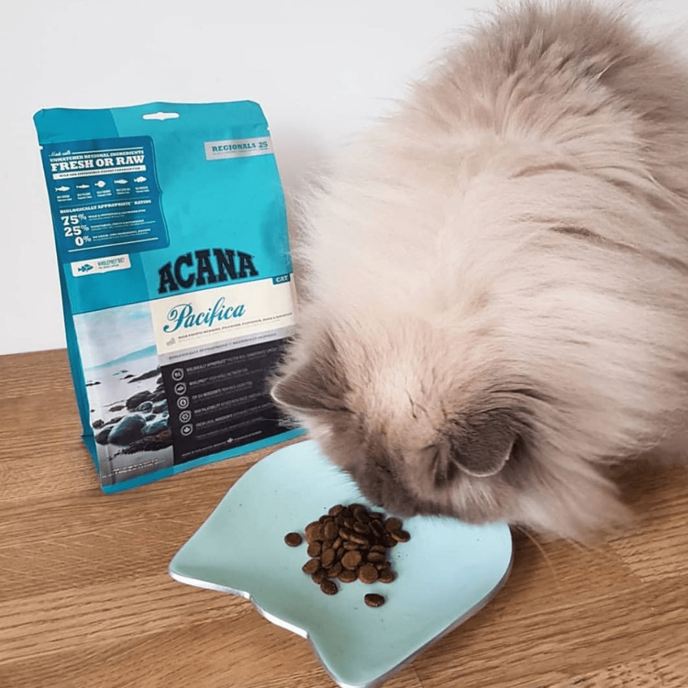 Buy Acana Pacifica Cat Dry Food Online Supertails