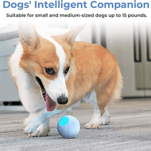 Cheerble Wicked SE Ball Toy for Dogs | For Medium Chewers (Blue)