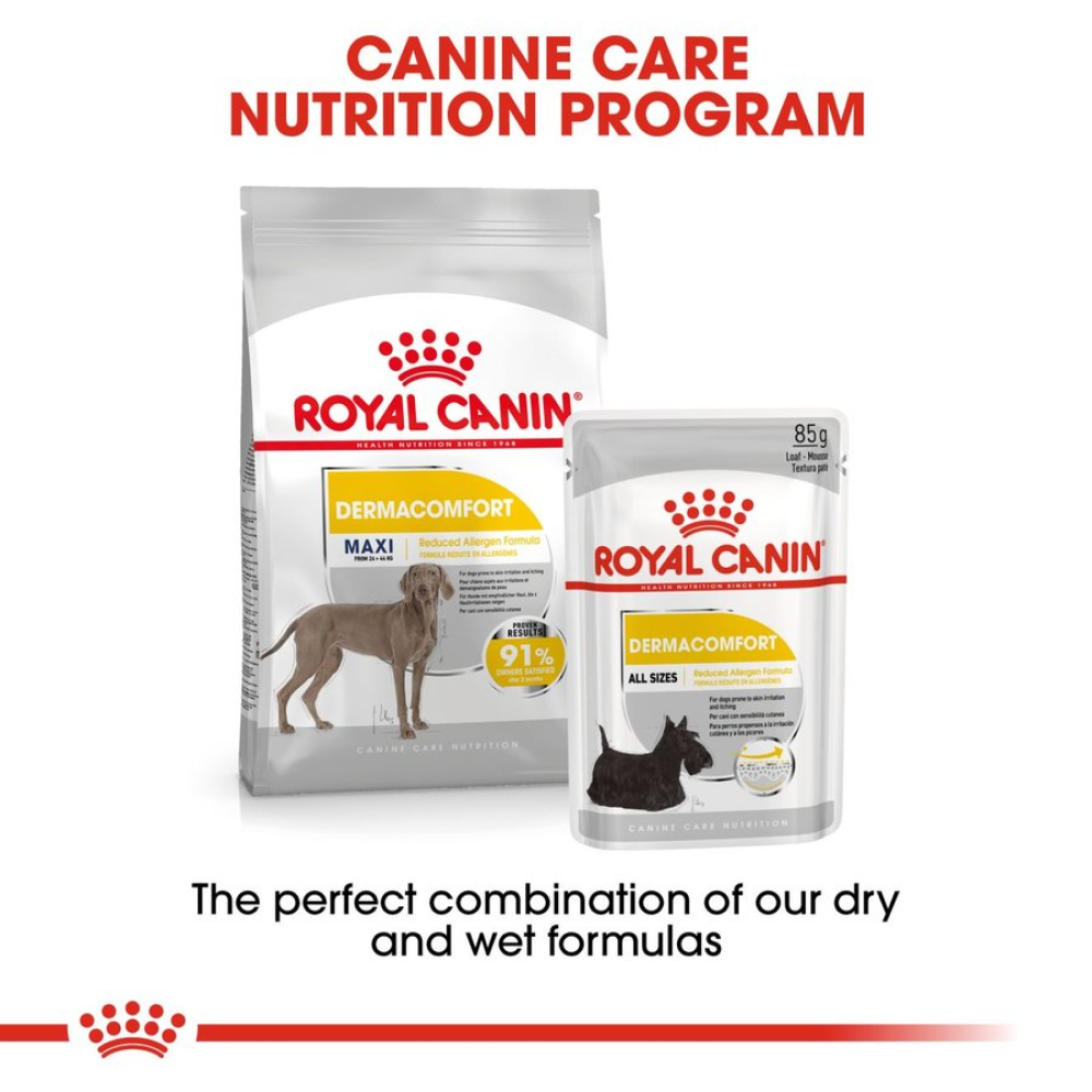 Royal Canin Maxi Dermacomfort Dog Dry Food (Limited Shelf Life) Dogs- Dry Food Royal Canin