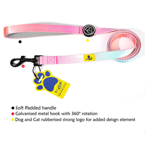 A Plus A Pets Skin Friendly Gradient Design Leash for Dogs (5ft, Pink)