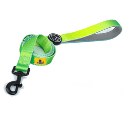 A Plus A Pets Skin Friendly Gradient Design Leash for Dogs (5ft, Green)
