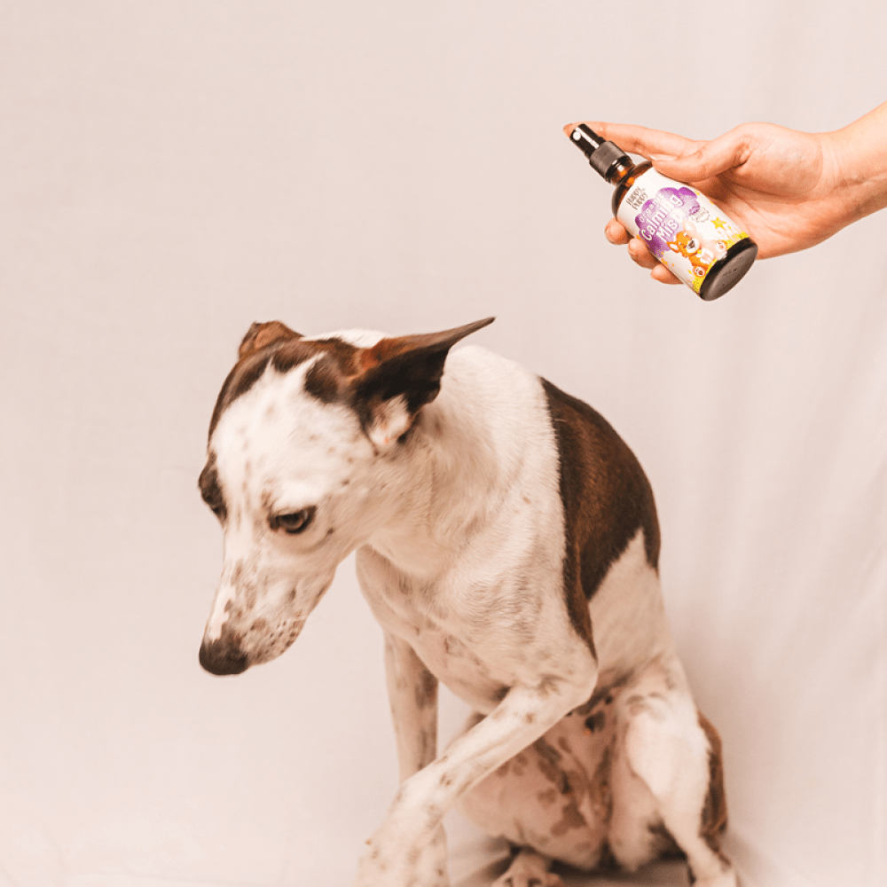 Happy Puppy Organic Calming Mist for Dogs