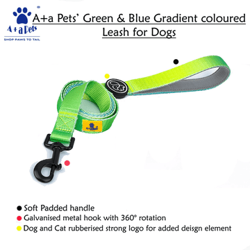 A Plus A Pets Skin Friendly Gradient Design Leash for Dogs (5ft, Green)