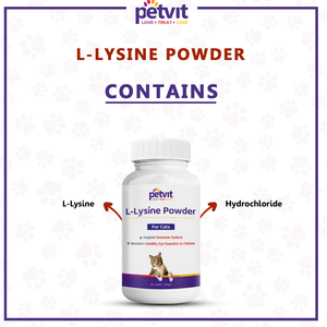 Petvit L Lysine Powder for Cats