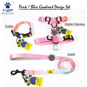 A Plus A Pets Skin Friendly Gradient Design Leash for Dogs (5ft, Pink)